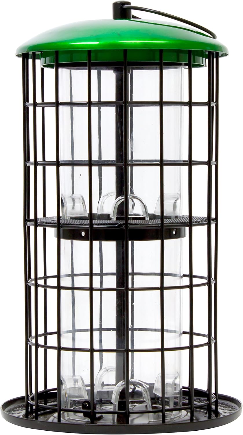 Green and Black Metal Squirrel Resistant Hanging Bird Feeder