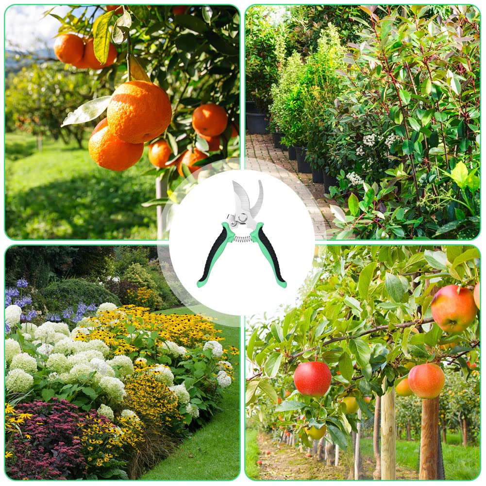 OFFCUP Forbici da Giardinaggio Forgiate, 2Pcs Cesoie a Mano, Forbici Cesoie da Potatura con Guanti da Giardinaggio, Cesoie Potatura, Forbici da Potatura in Acciaio Inossidabile per Rami Radici