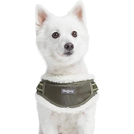 burberry dog harness vest