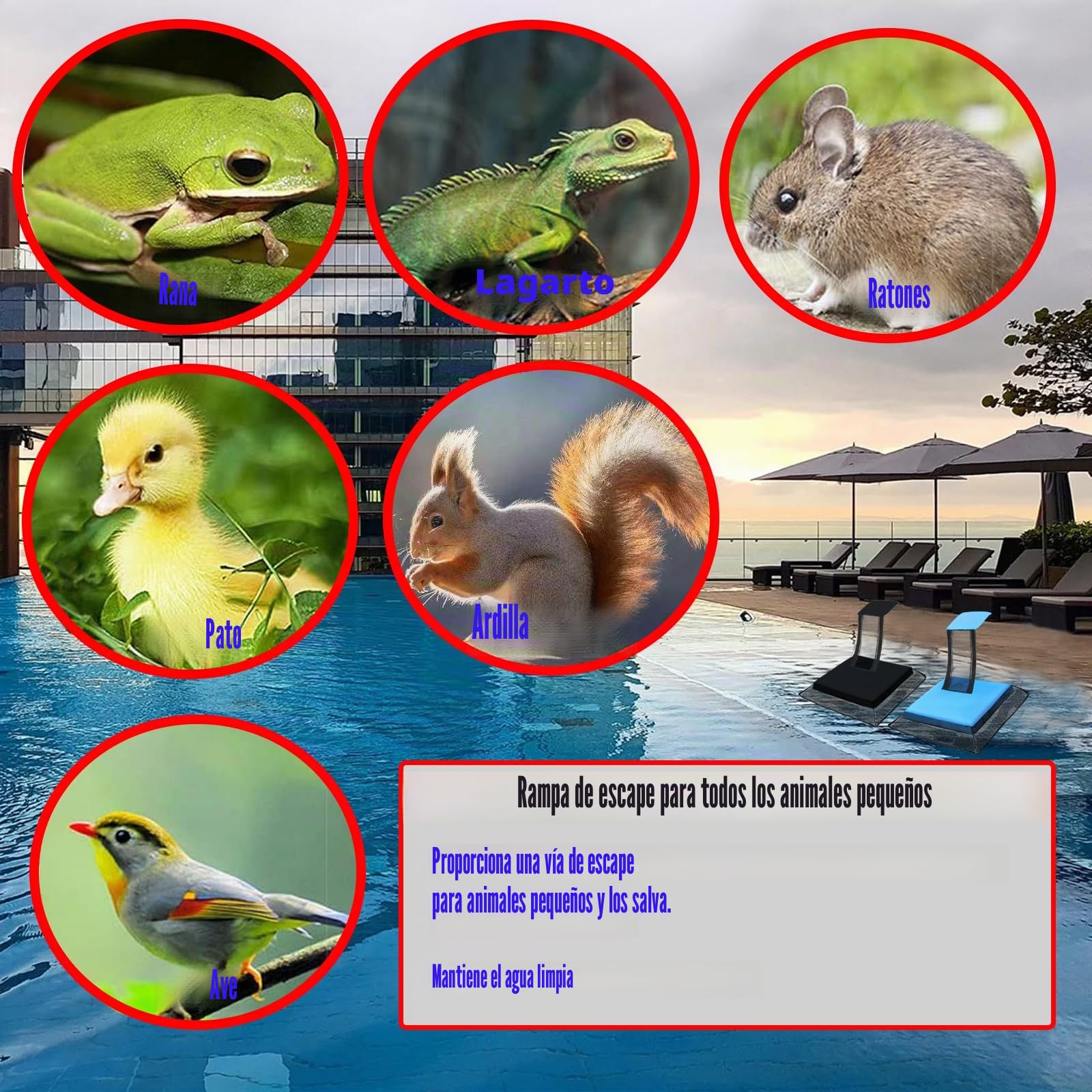 Omobolanle Rampa de escape para salvar animales de piscina, salvavidas flotante para ranas para piscina, para salvar pequeños animales que entran en la piscina, rana, pato, ardilla y ratón, tiempo de