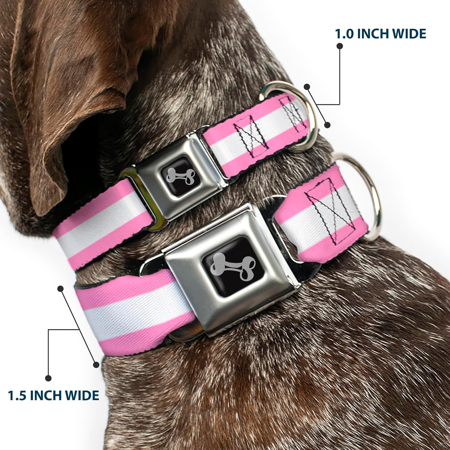 Dog Collar Seatbelt Buckle Colorado Flags5 Repeat Light Pink White Pink Yellow 11 to 17 Inches 1.0 Inch Wide