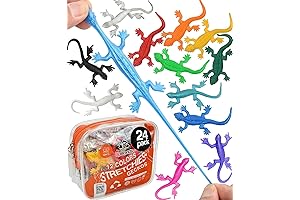 Super Stretchy Lizard Toys for Kids