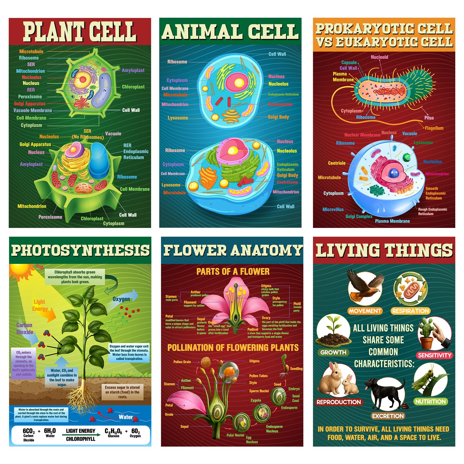 Pasimy 6 Pcs Science Posters Biology Posters for Classroom Biology & Life Science Charts for High School Biological Education Classroom Decorations, 11 x 17 Inches