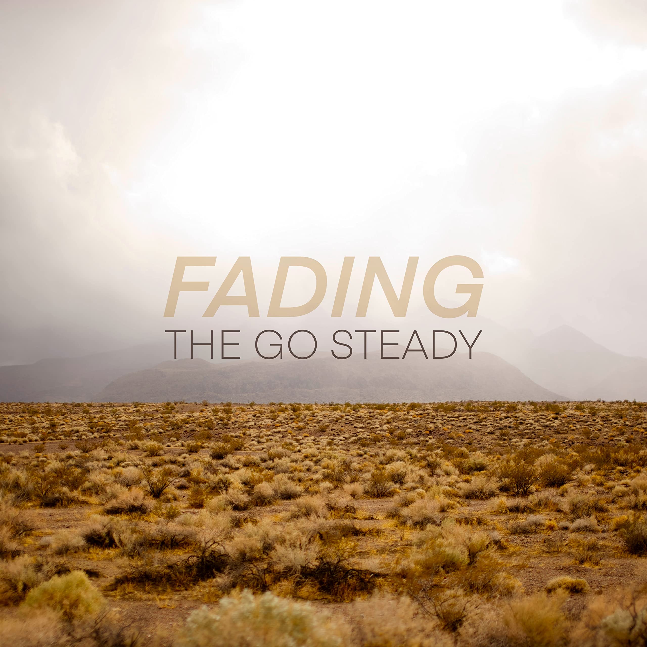 The Go Steady