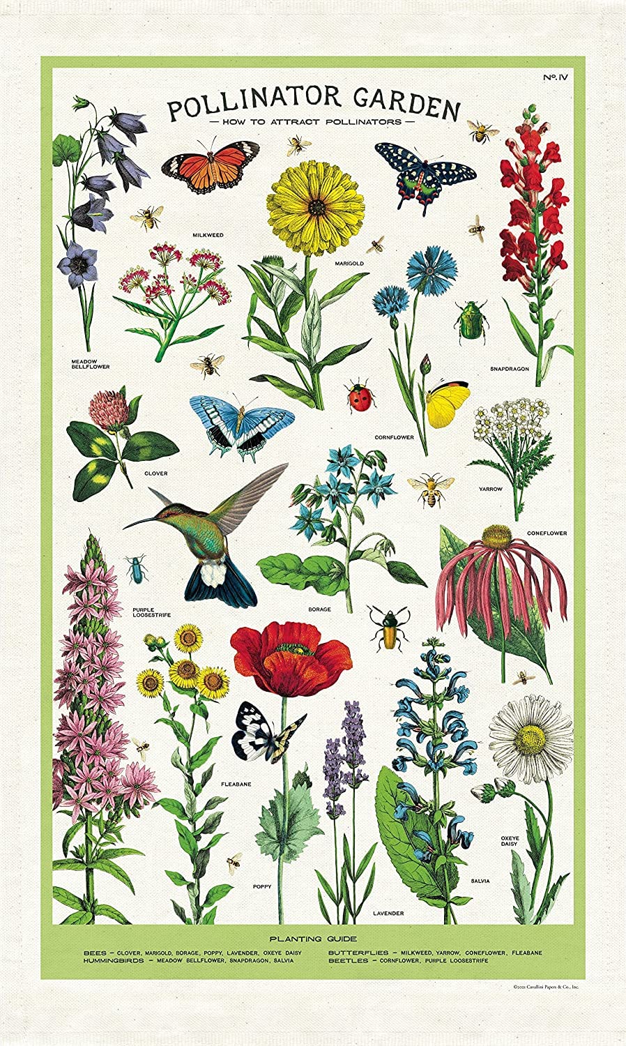 Cavallini & Co., Garden Pollinator Vintage Kitchen/Tea Towel Multicolor