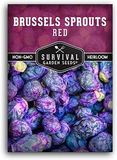 Red Brussels Sprout Seeds - Heirloom Non-GMO Purple Variety, Cold Hardy, Nutty Flavor Survival Garden Seeds
