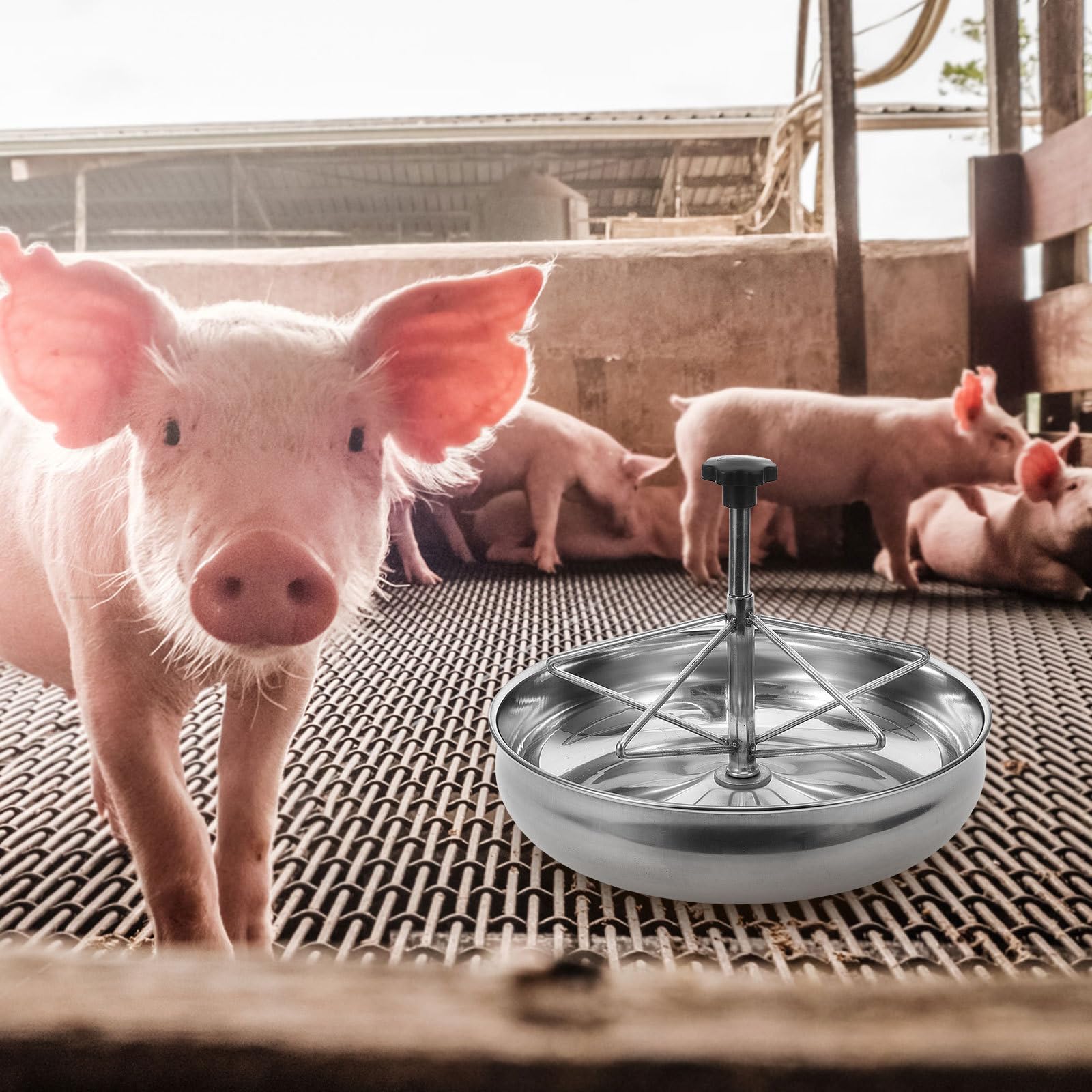 Schweinefuttertrog Praktischer Schweinefutterautomat mit Großer Kapazität Edelstahl Leicht zu Reinigen und Fester Konstruktion Geeignet für Drinnen und Draußen