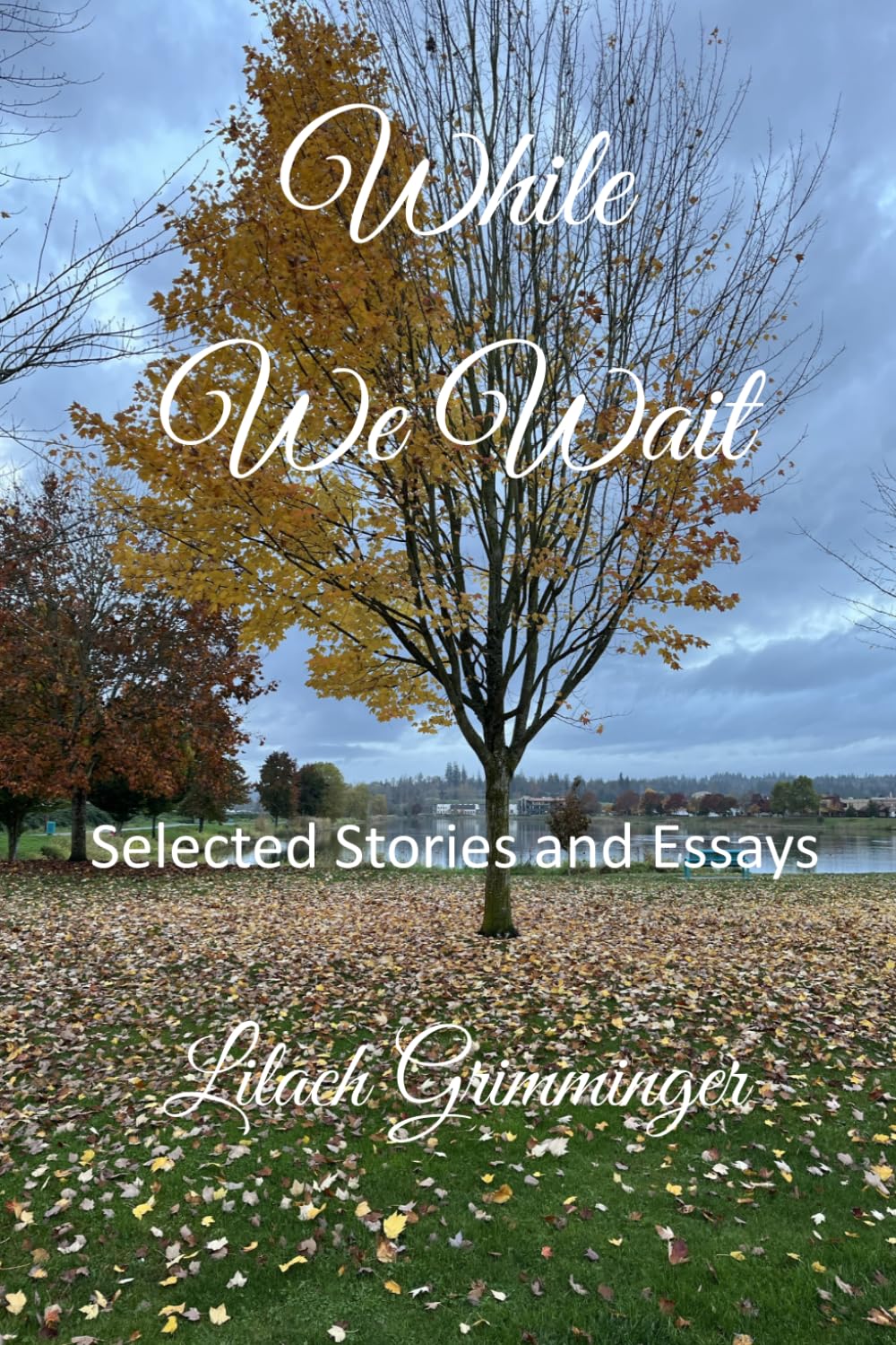 While We Wait: Selected Stories & Essays