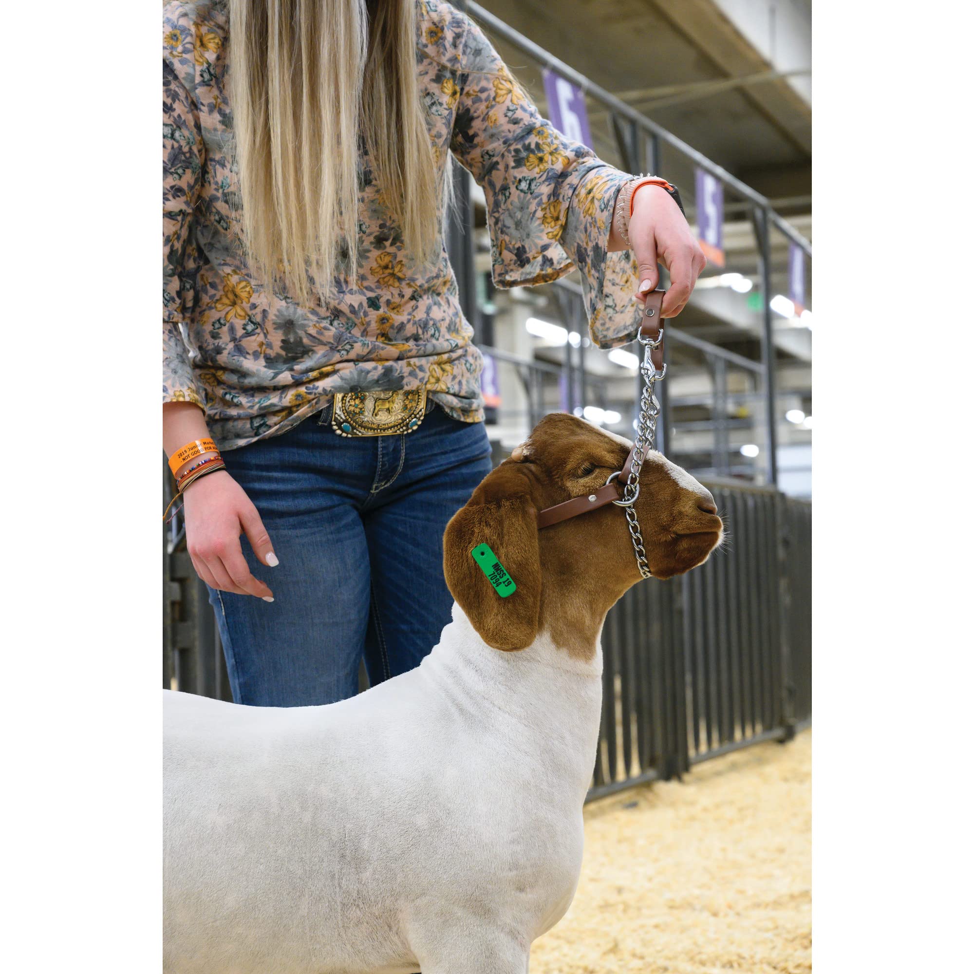 Weaver Leather Livestock Goat Halter Cabestro de Cabra Total Control, Unisex, marrón