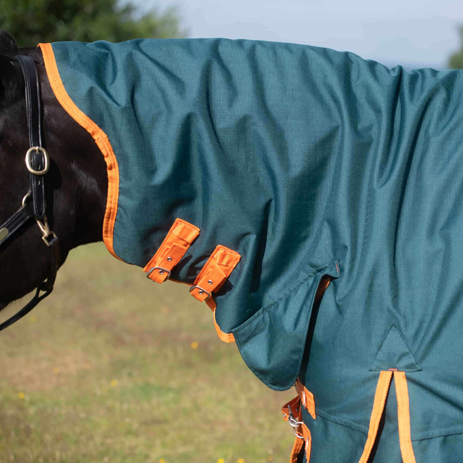 Protège-dos Derby House Unisexe - Modèle 'Paon' - Taille Unique - Neuf Sans Boîte