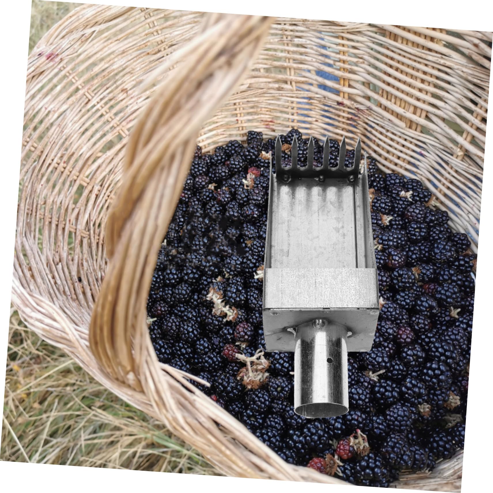 Supvox 5stücke Fruit Picker Für Müheloses Ernten Wie Äpfeln Und Pfirsichen Leiter Tragbar Und Handlich Für Gartenarbeiten