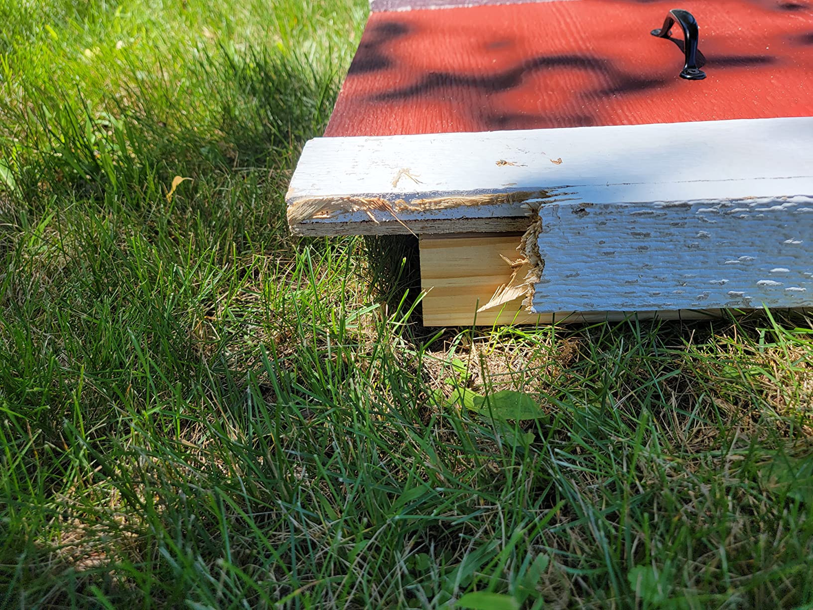 83/mo Finance OverEZ Medium Chicken Coop for up to 10 Chickens Nesting Box Large Bird