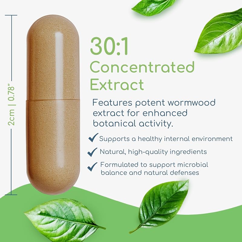 Return Healthy Artemisia Trinity, 125mg Artemisinin, Sweet Wormwood 30:1 image 4