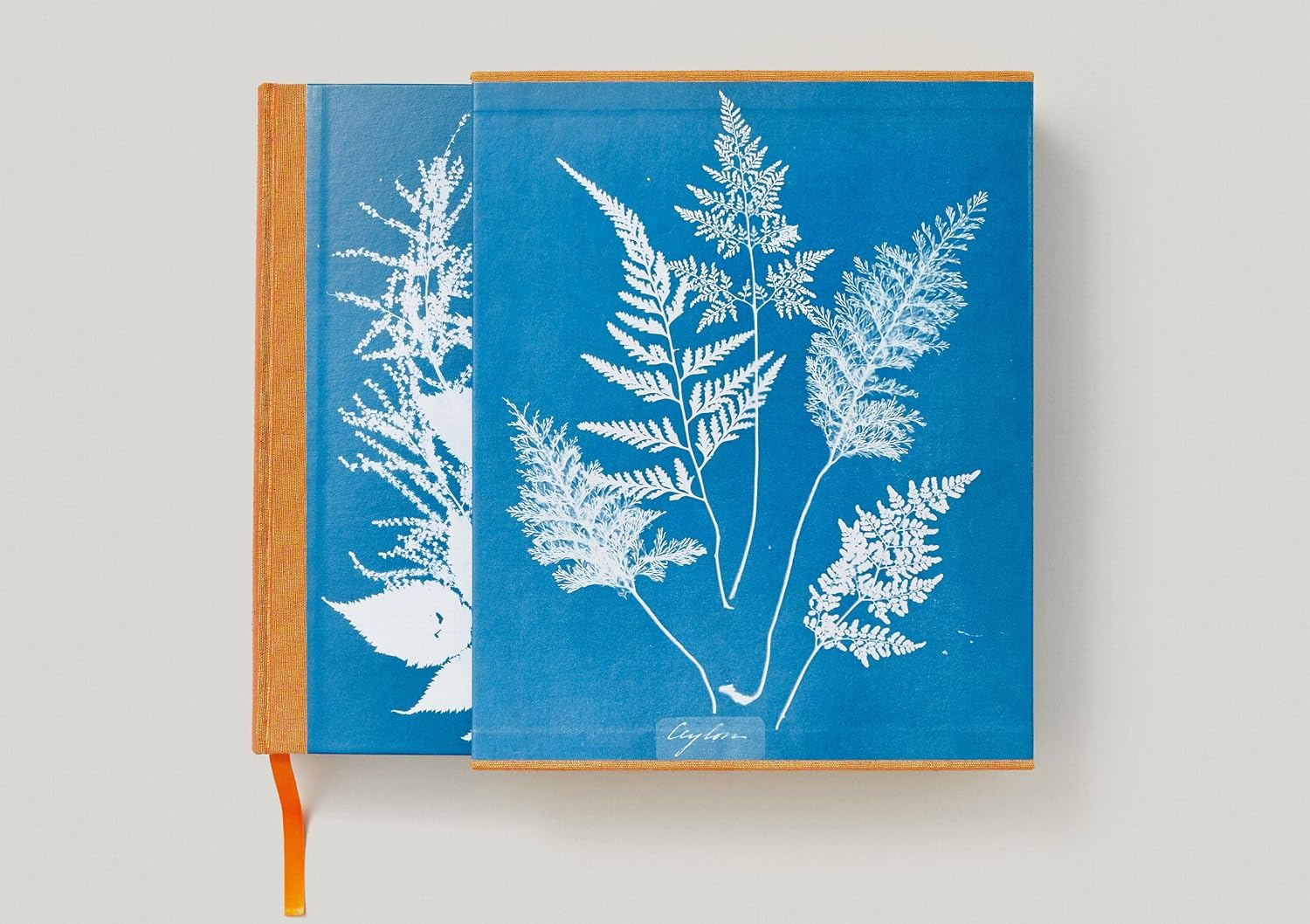 Anna Atkins. Cyanotypes (Classics) (Multilingual Edition)