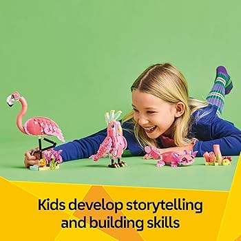 ほら貝 ピンクガイ サンゴセット ほら貝 ピンクガイ サンゴセット