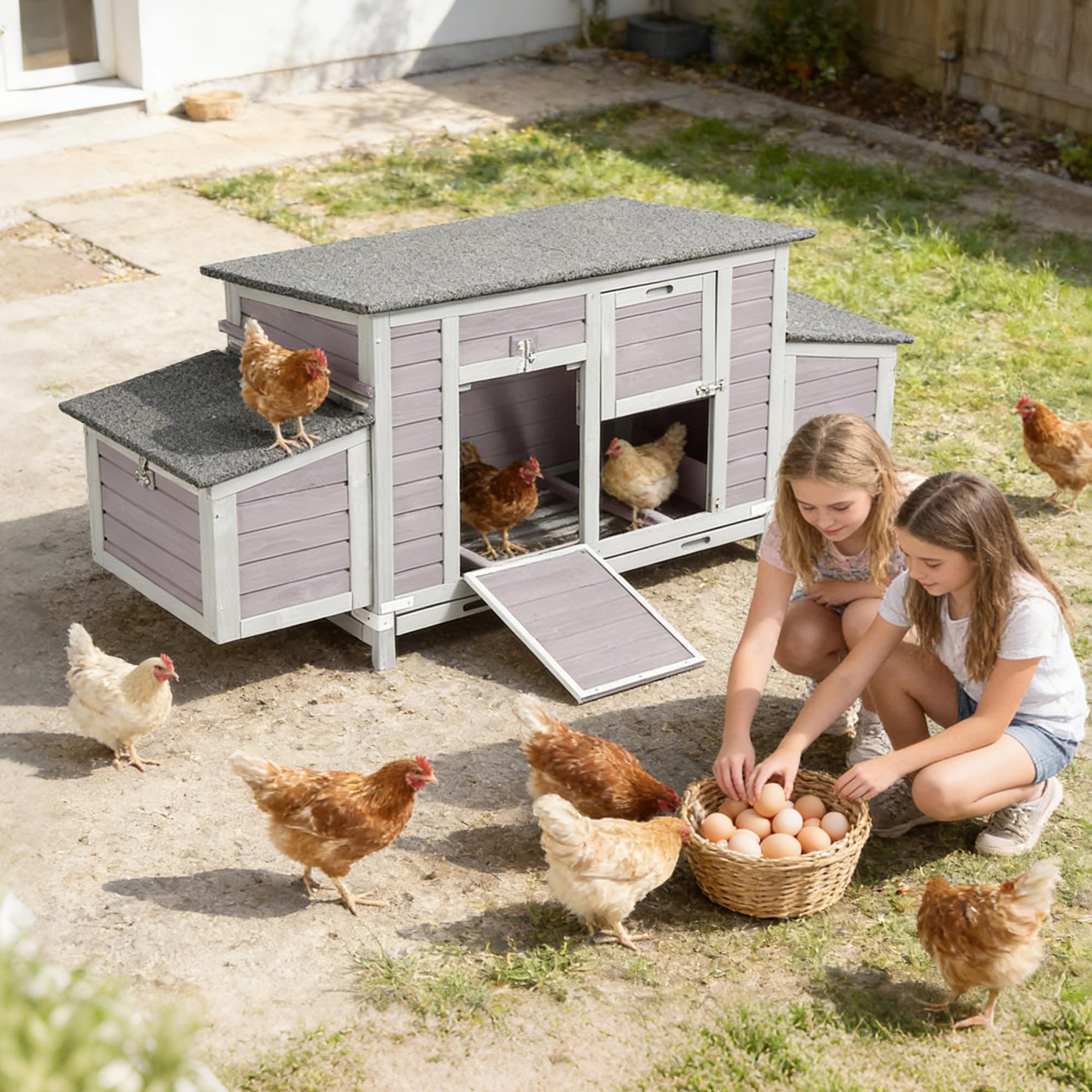 Aivituvin Large Chicken Coop 67.3