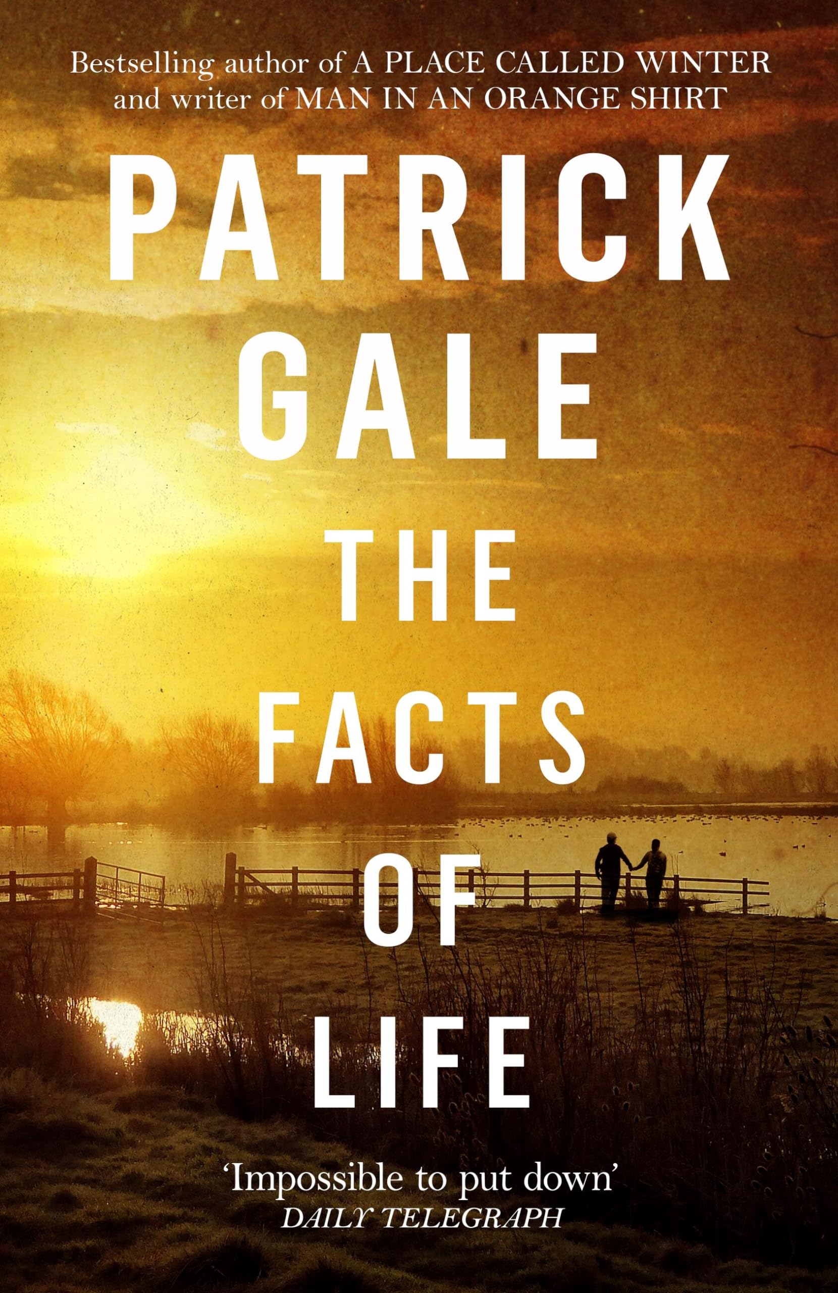 The Facts of Life: An epic, intimate novel of love, music and the life events that stay with us forever