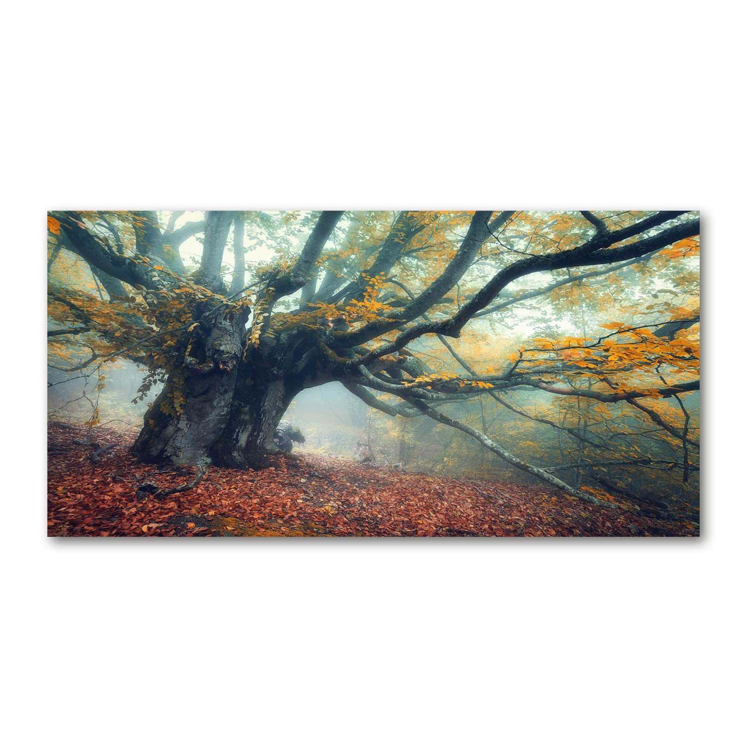 Tableau en verre acrylique Tulup 120x60 image verre plastique marron