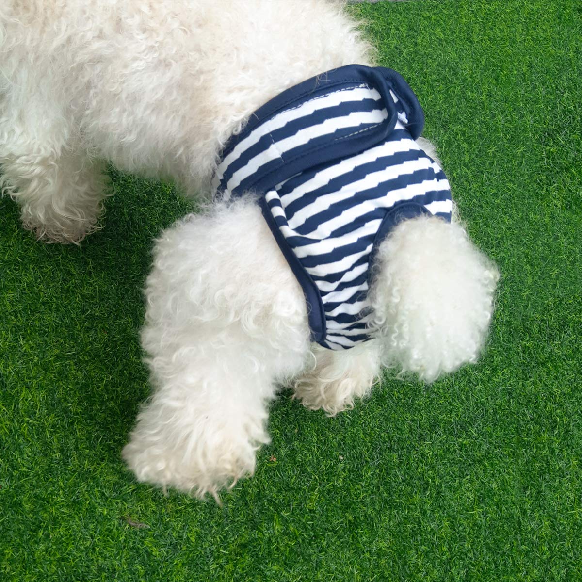 08*犬用 オムツ サニタリー ショーツ パンツ 洗える 再利用可能 Amazon | PETLESO 犬オムツ 犬用サニタリーパンツ 3枚 洗える 再