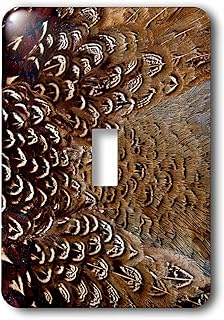 3dRose lsp_250252_1 Variations on Feather Colors of The Ring-Necked Pheasant 01 Toggle Switch, Mixed