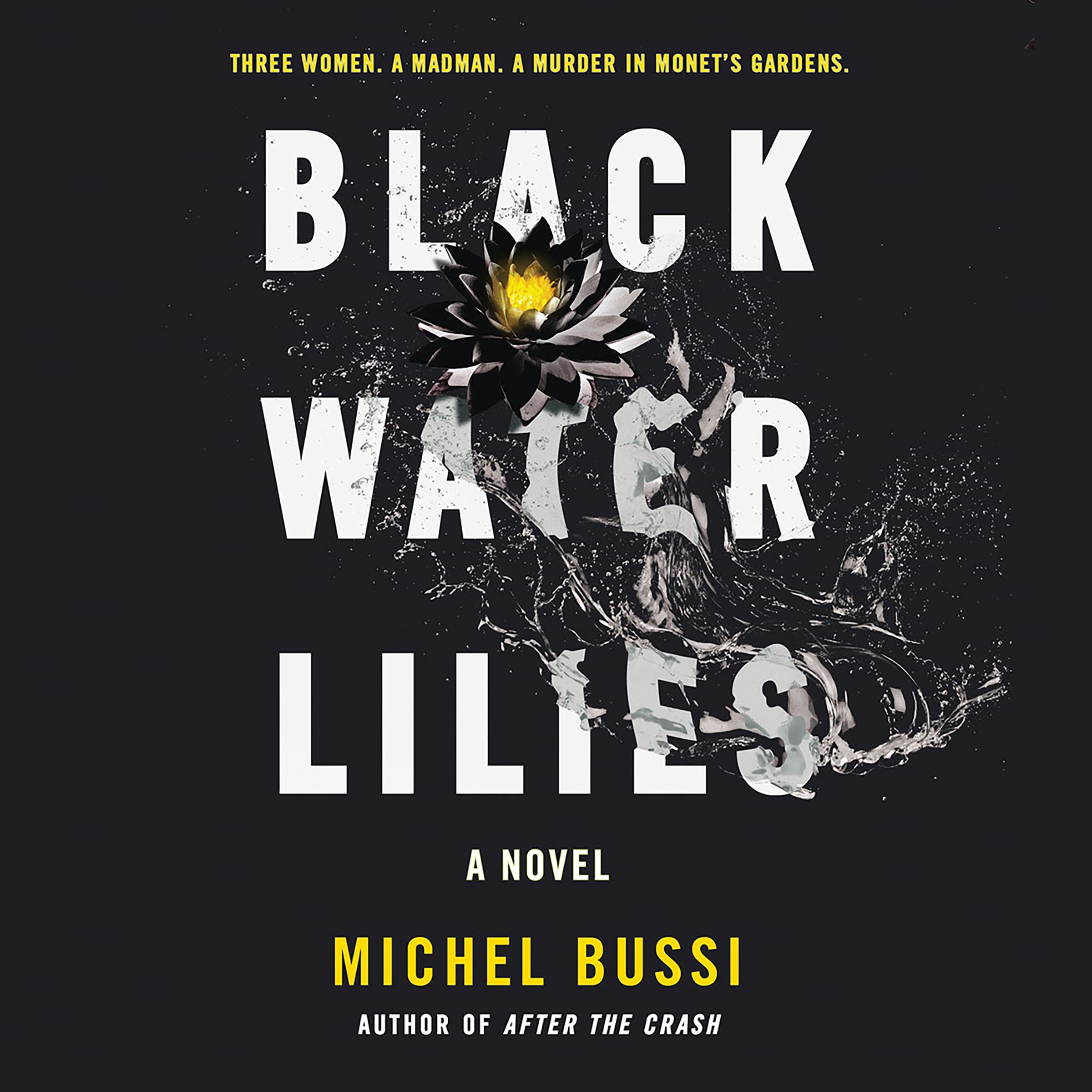 Cover art for Black Water Lilies