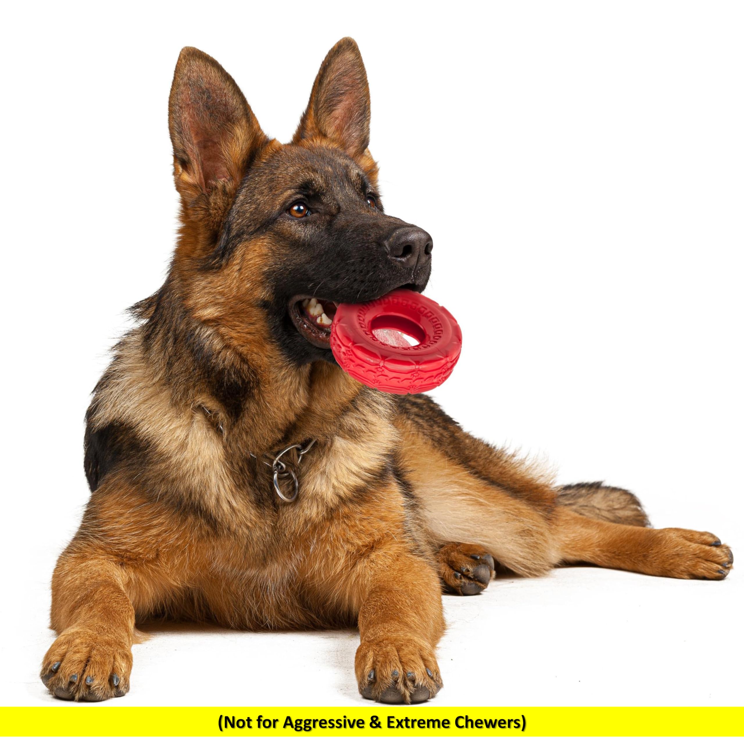 Lot de 2 jouets à mâcher en caoutchouc pour chien de 12,7 cm | TPR Tough Dog Toys Large Medium | Roue de pneu | Jouets interactifs pour chien pour l'ennui | Jouets flottants pour chien | Jouets de