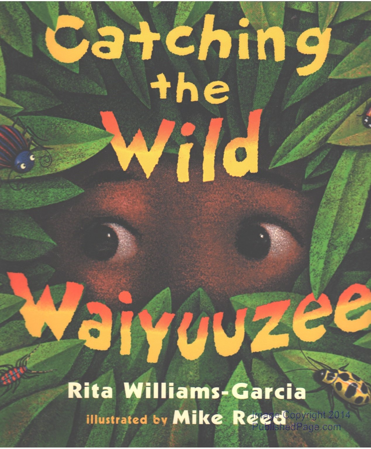 Cover of Catching The Wild Waiyuuzee