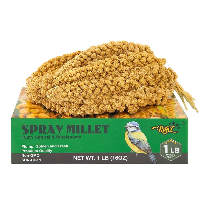 Petisco de Painço em Espiga para Aves RANZ, 454 g