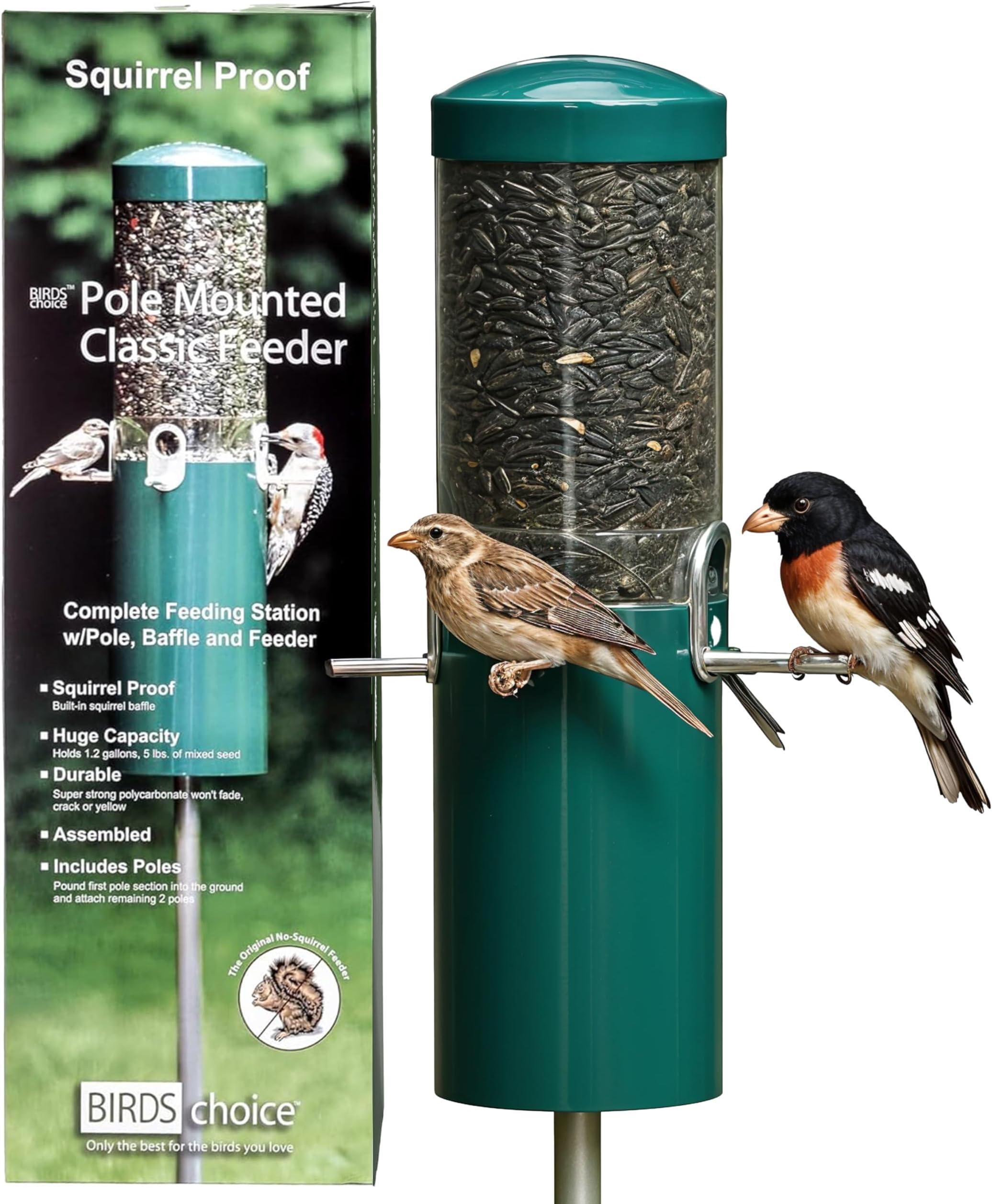 Birds Choice Classic Squirrel Proof Bird Feeder with Pole Mount | Tube Bird Feeder for Cardinals, Chickadees, Woodpeckers | Sturdy Steel for Long-Lasting Use | Backyard Bird Seed Dispenser | Green