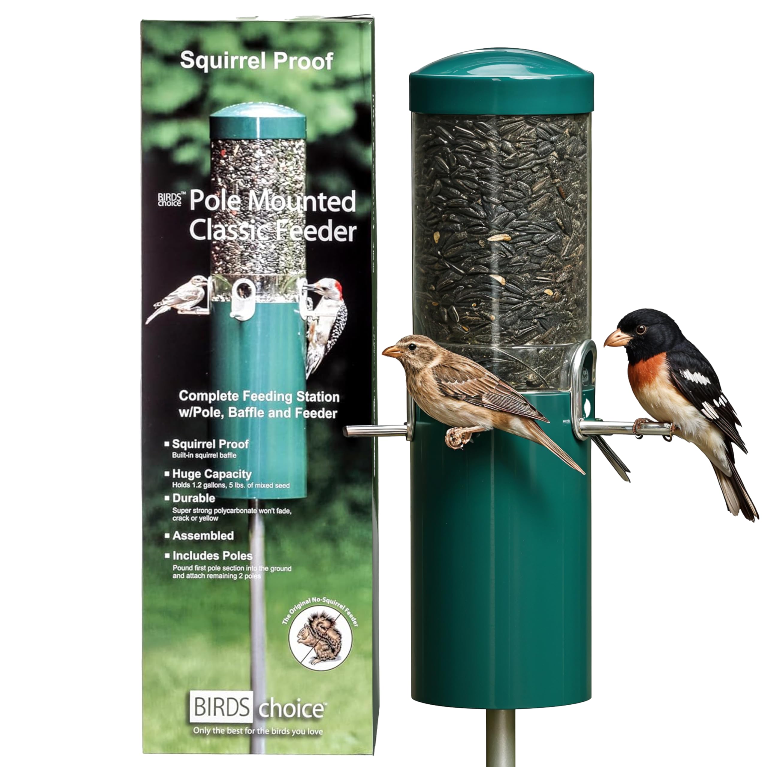 Birds Choice Classic Squirrel Proof Bird Feeder with Pole Mount | Tube Bird Feeder for Cardinals, Chickadees, Woodpeckers | Sturdy Steel for Long-Lasting Use | Backyard Bird Seed Dispenser | Green