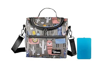 DAROSS 6L Insulated Lunch Bag for men&women Reusable Lunch Box with Adjustable Strap Small Cooler Bag Cool Box with Shoulder Strap for Work Beach Picnic Camping