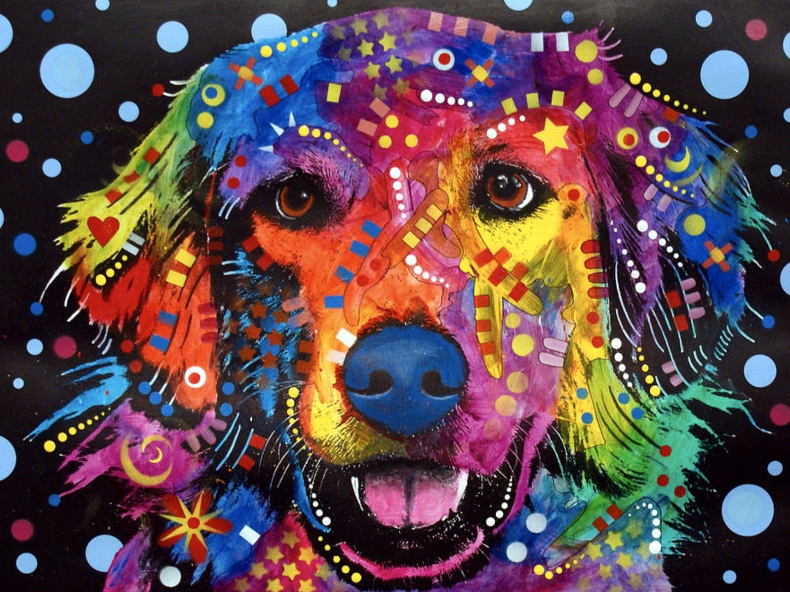 FunBlast 5D Diamond Painting Kit, 12x16inch Diamond Painting Kit for Adults & Kids, Suitable for Home Leisure and Wall Decoration, Gift for Kids and Adults (Colorful Dog)-image-28