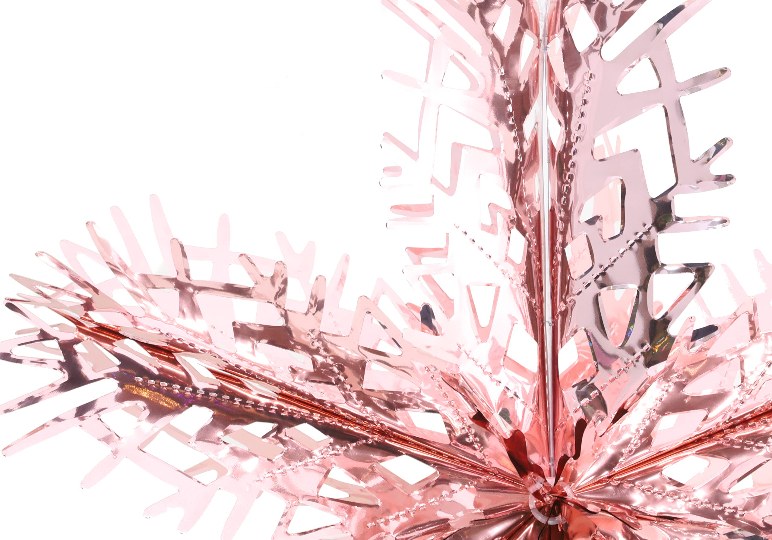 View 4