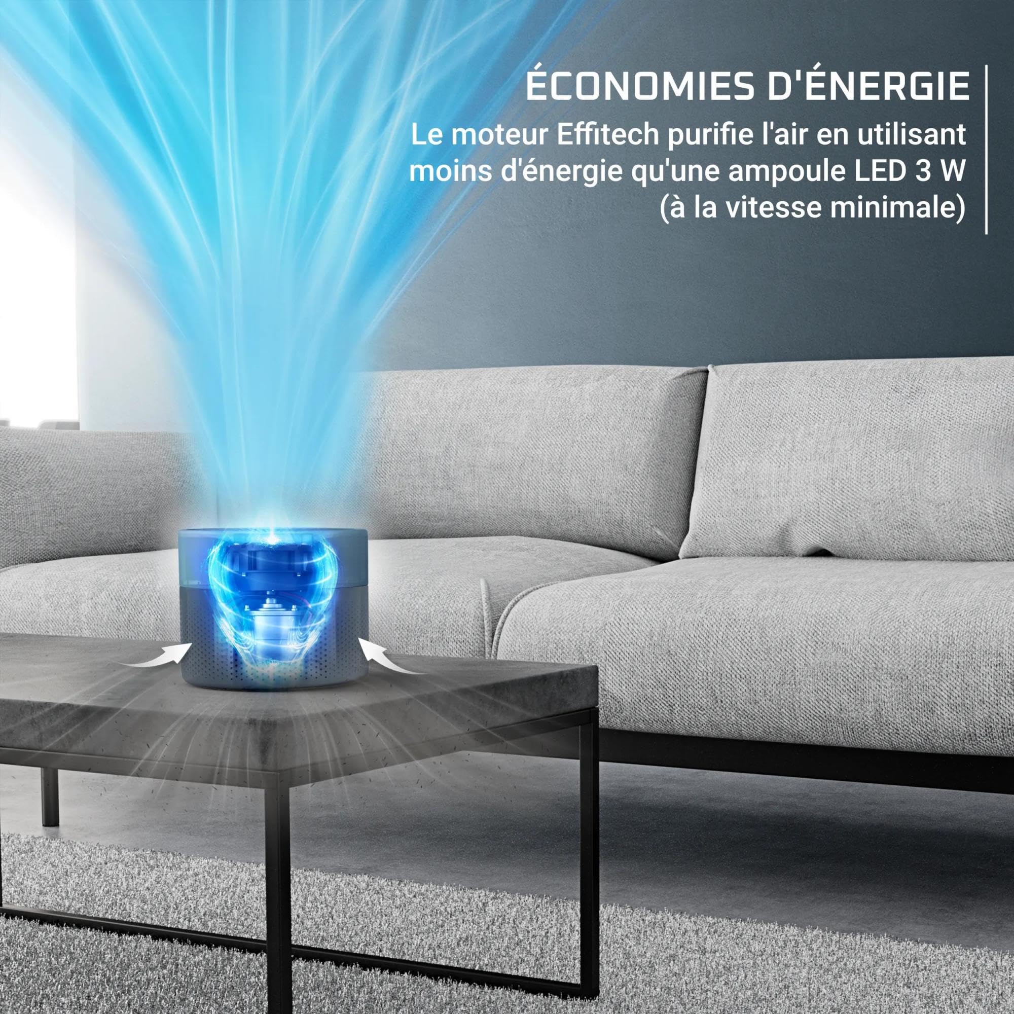 Rowenta Pure Air Mini, Purificateur d'air intérieur avec filtration HEPA Allergy+, Très silencieux, Réduit les mauvaises odeurs, PU1522F0