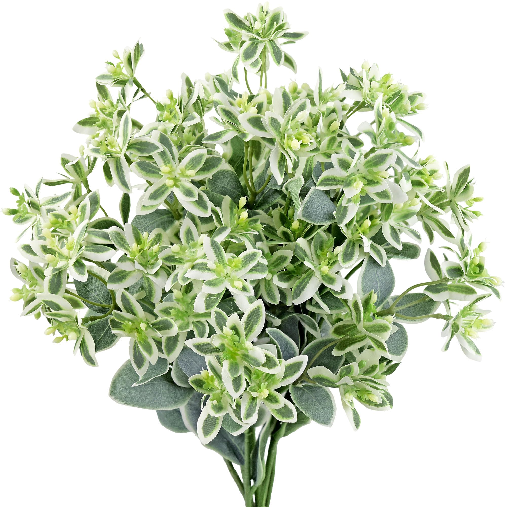 Fiveseasonstuff Snow On The Mountain (6 Stems) 43Cm Snow On The Mountain Euphorbia Marginata Artificial Leaves And Branches Filler Greenery 43Cm (6 Stems)
