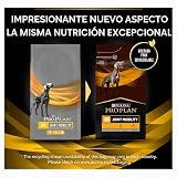 Ver la foto 4