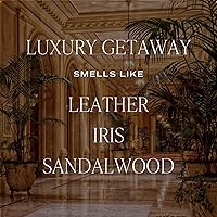 Vista 4 de Sweet Water Decor Luxury Getaway - Juego de difusor de varillas – Difusor de habitación con aroma de cuero, ámbar y almizcle, difusor de varillas