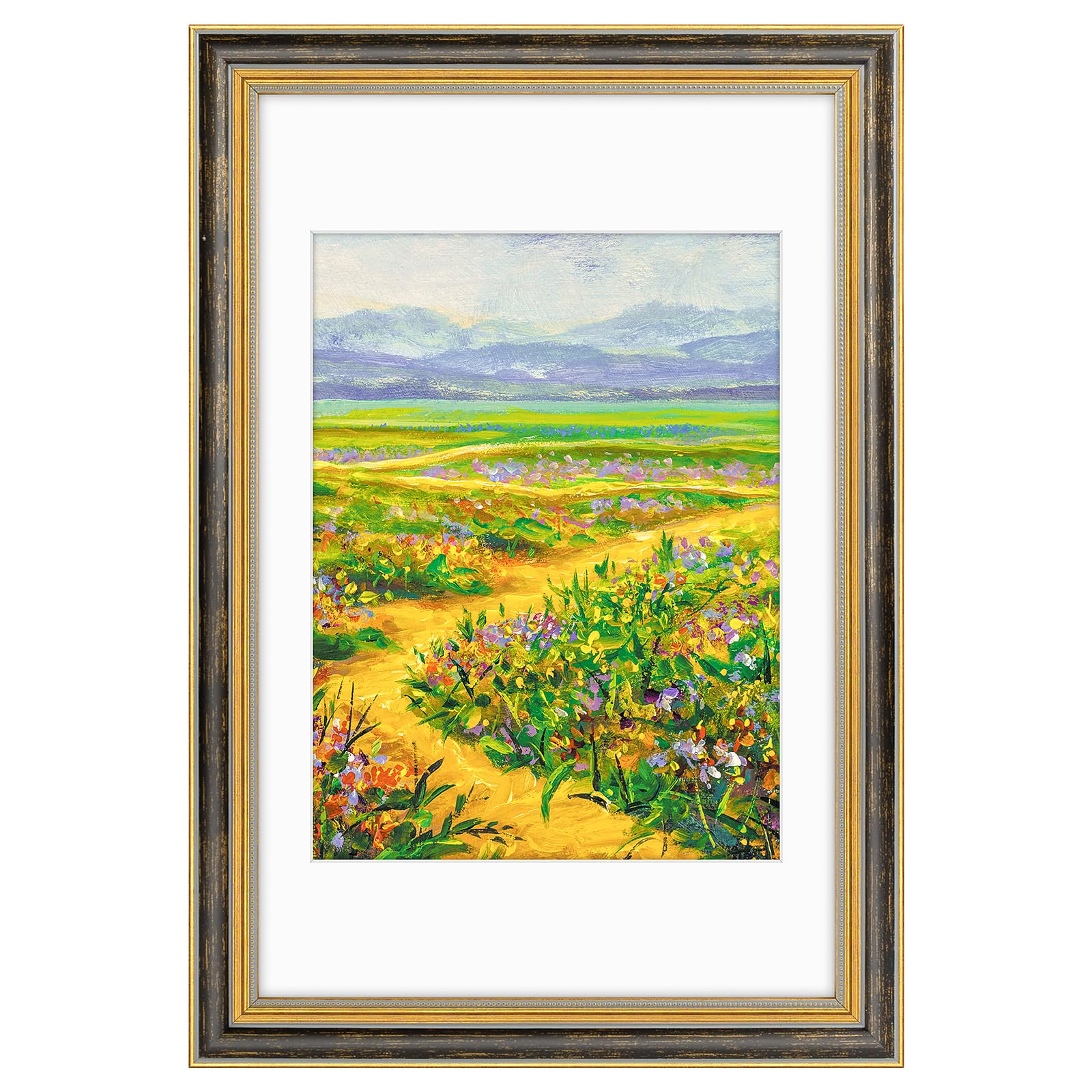 Golden State Art Ornate Frame