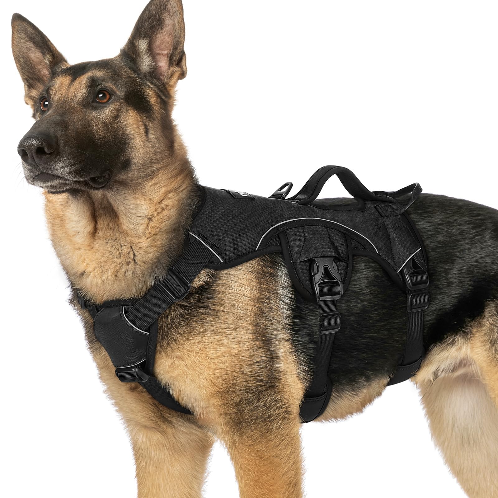 Photo 1 of rabbitgoo Escape Proof Dog Harness, Black, X-Large