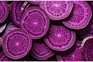 5 Purple Sweet Potato Slips for Planting - Grow Luscious Purple Delicacies