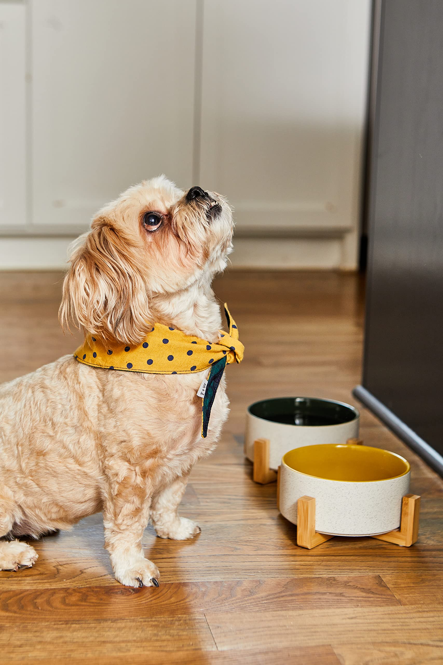 Field and Wander Bandana réversible pour Chien