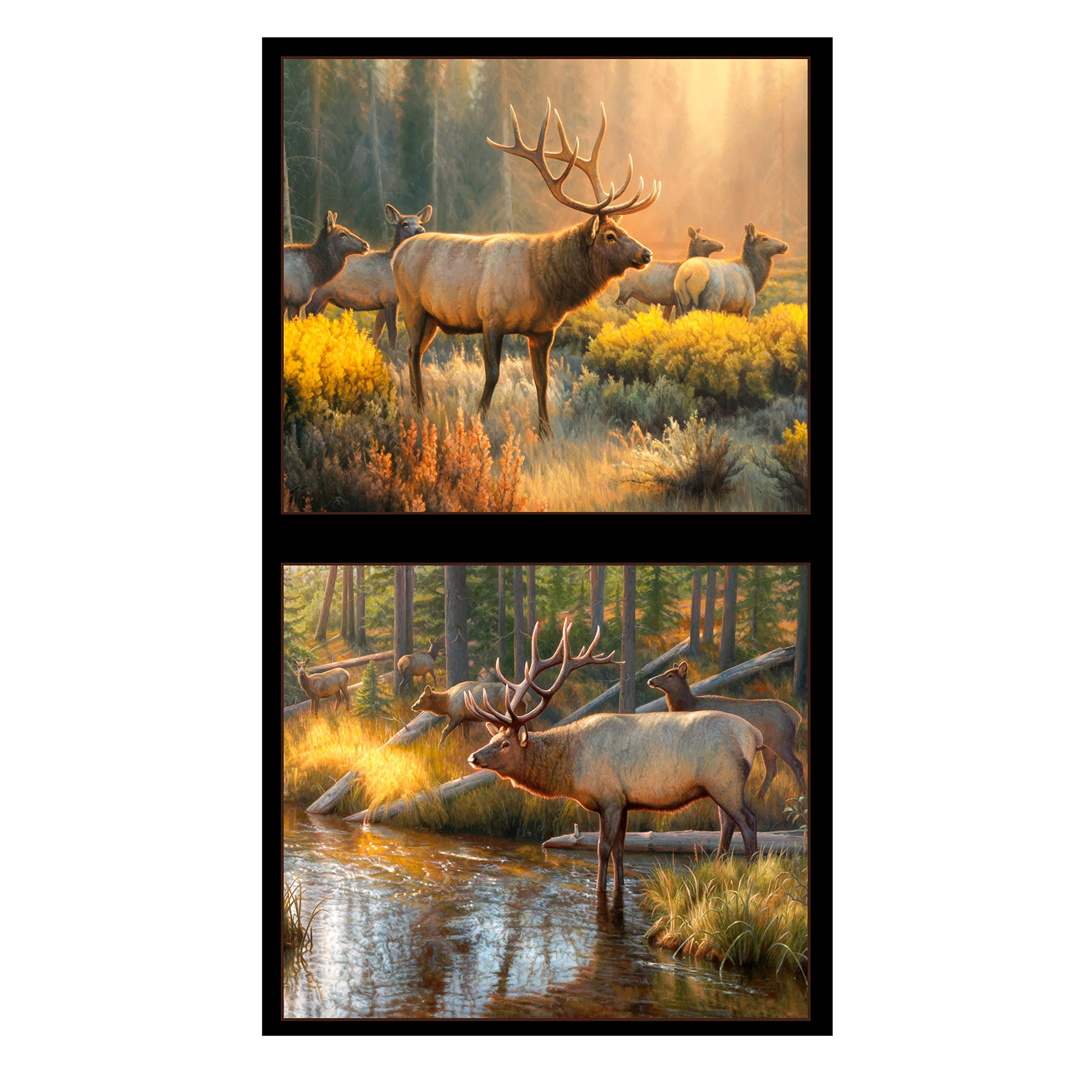 Elizabeth's Studio Morning Glory 24" Panel Black, Fabric