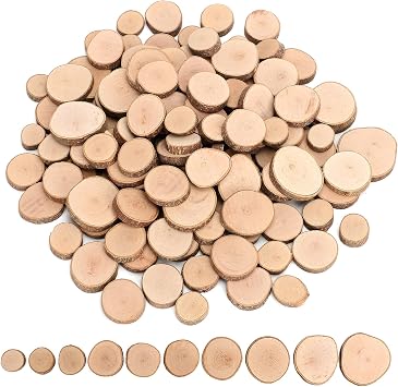 Wood Slices Set, 120 Pcs Small Wooden Discs for Crafts, 2-3cm/1-2cm Wooden Circles  Smooth and Burr-Free,Wood Slices for Craft and Arts,Natural
