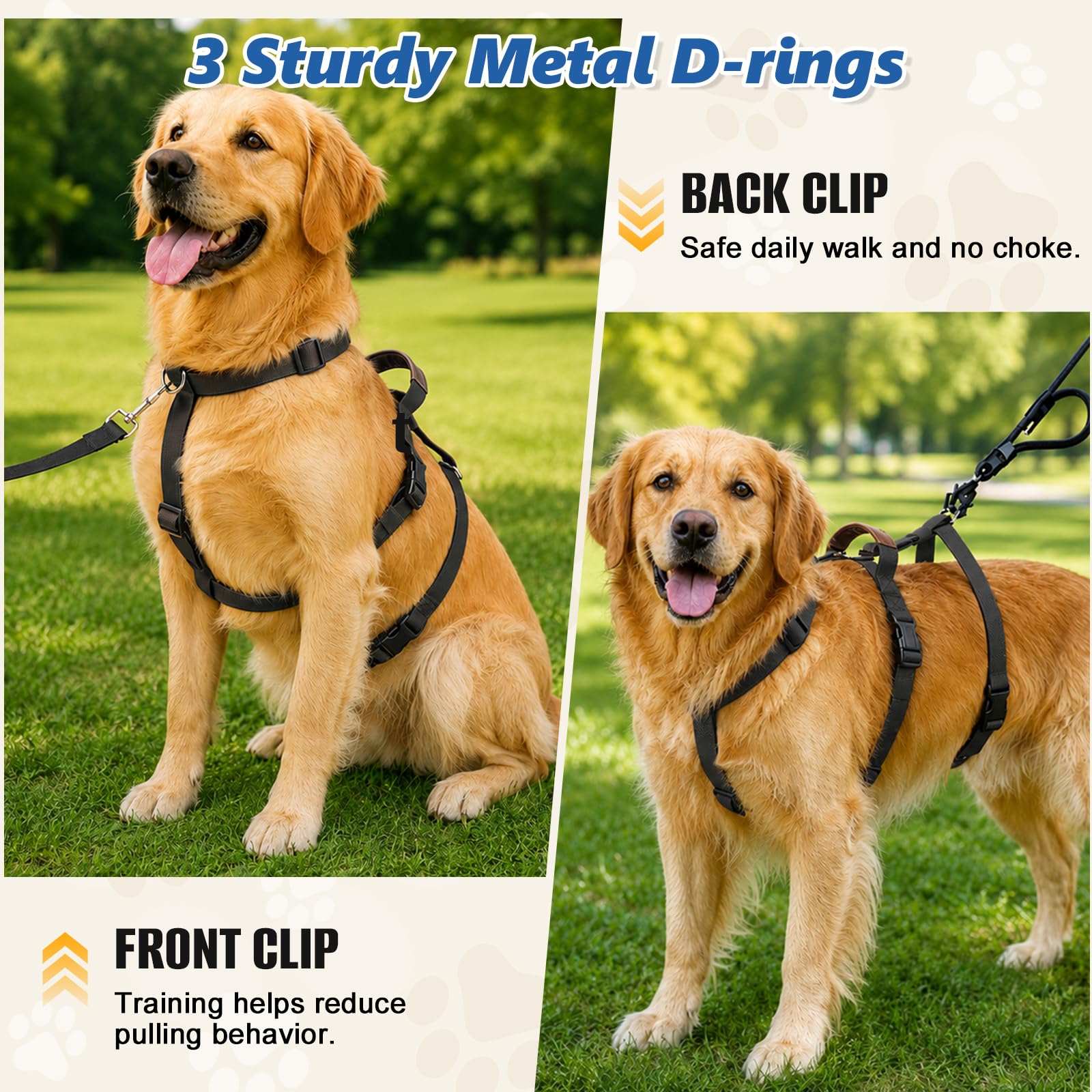 View 4