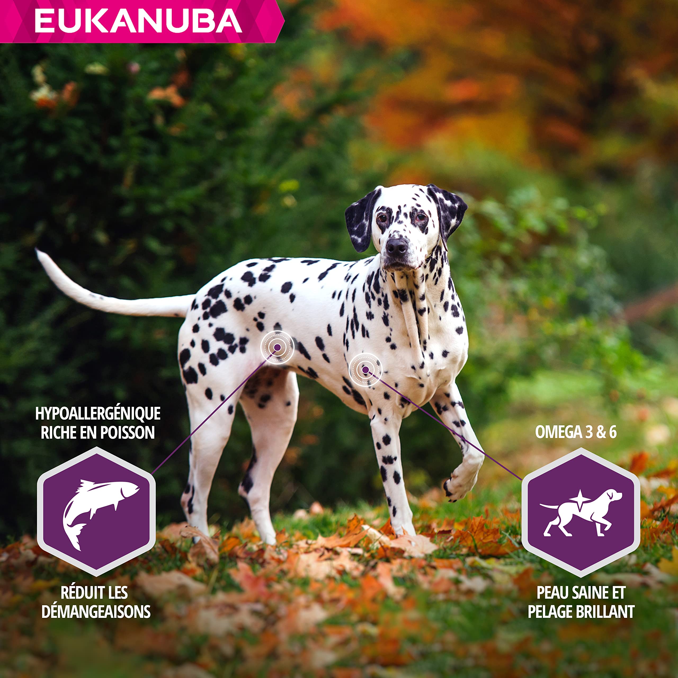 Eukanuba - DailyCare Sensitive Skin - 12 kg