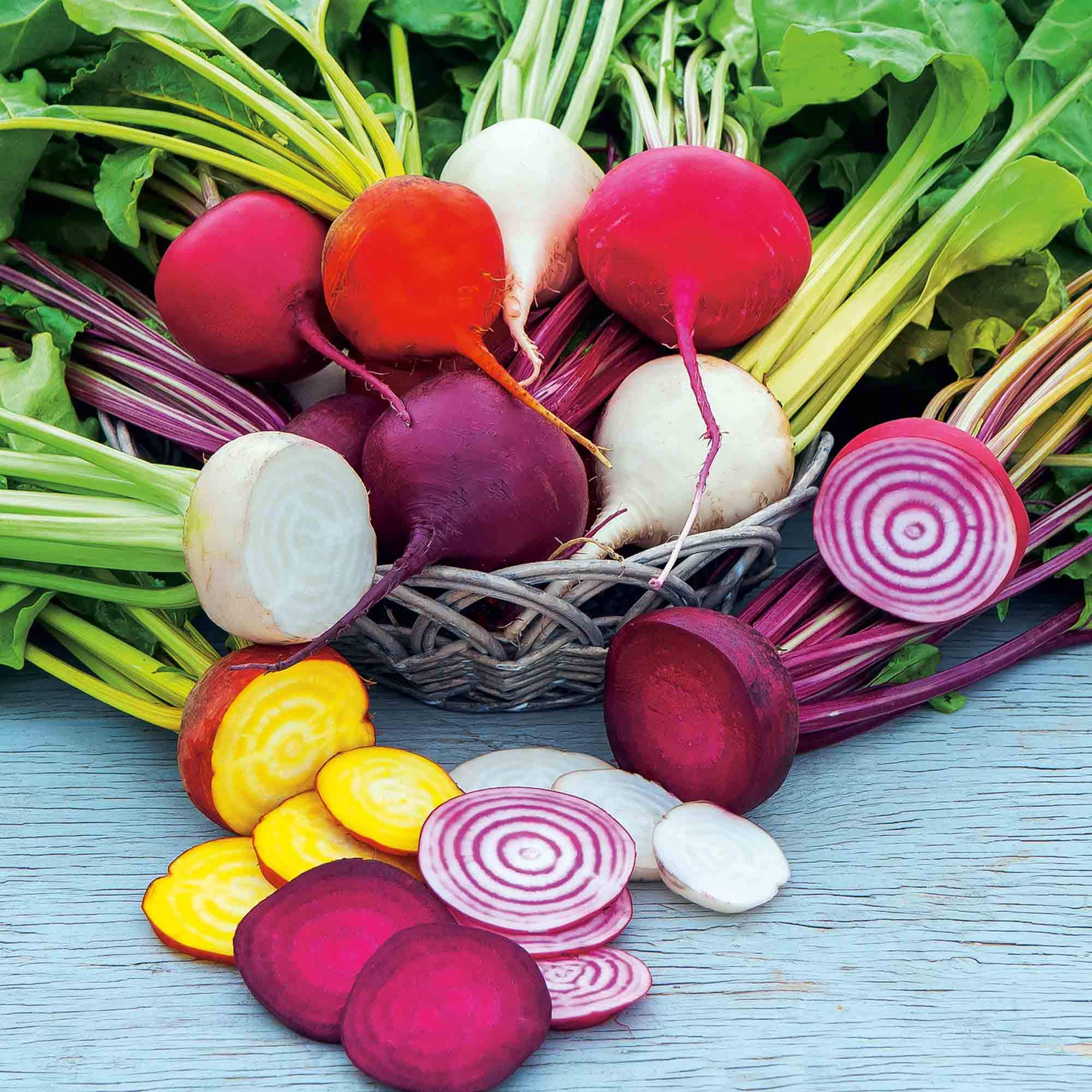 Suttons Beetroot Seeds Rainbow Mix, Vegetable Seed, Approx. 250 Seeds per Pack, Grow Your own, Ideal for Containers, Beds and Borders
