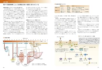 カラー図解人体の正常構造と機能 = STRUCTURE, FUNCTION A… カラー図解 人体の正常構造と機能〈9〉神経系(2)【改訂第4版