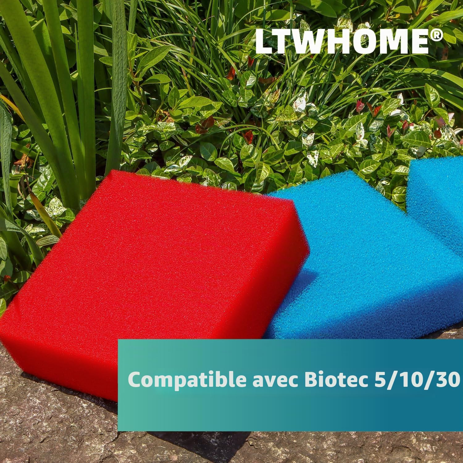 Compatible Remplacement Grossier et Excellent Mousseux Filtration Eponge Convient pour Oase Biotec 5/10/30(Paquet de 6)