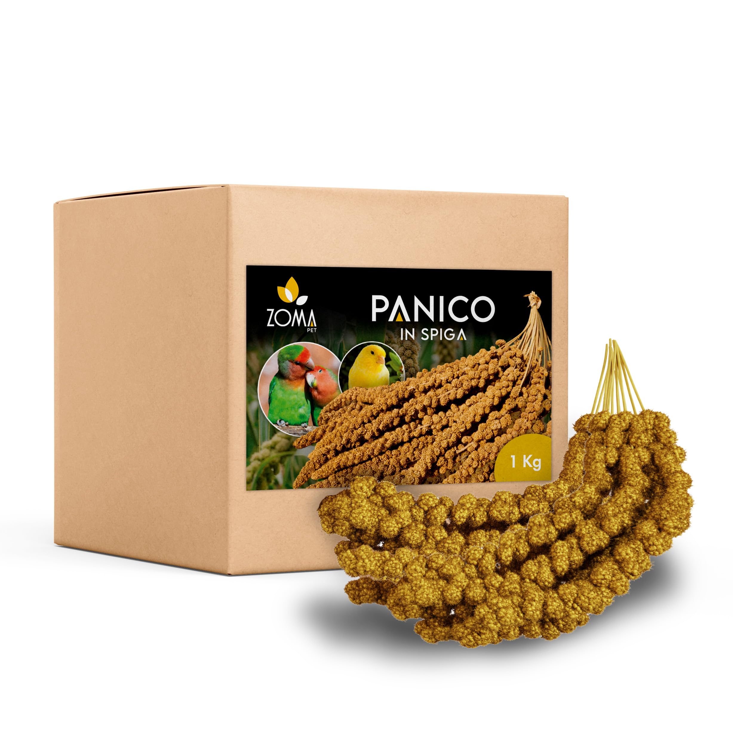 ZOMAPET spighe di panico per pappagalli 1Kg, mangime pappagalli naturale ideale anche per cocorite e uccelli esotici - Made in italy