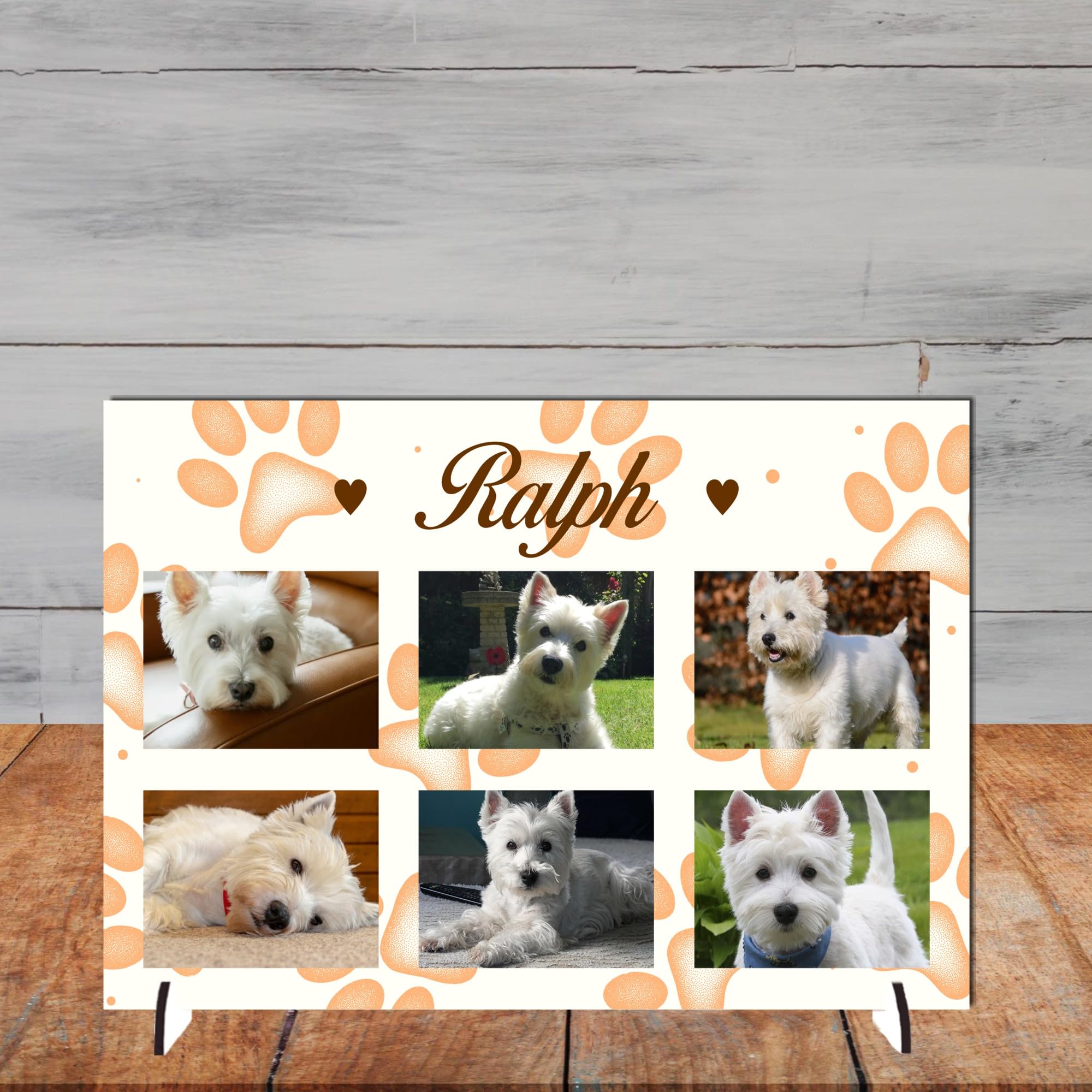 Pixie's Gifts Personalised Pet Photo Plaque on Stand - Custom Gift for Dogs or Cats - Available in 4 Designs, 3mm MDF and Acrylic (Orange, Acrylic A5 21cm x 15cm)